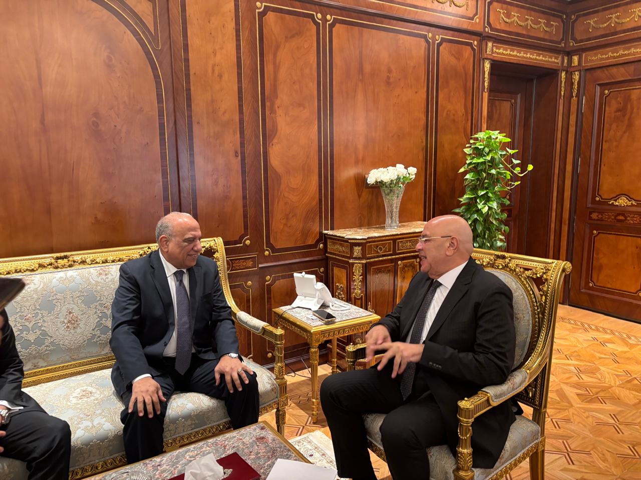 محمود عصمت يطمئن نواب التشريع على عمل المنظومة الكهربائية على مستوى الإنتاج والنقل والتوزيع