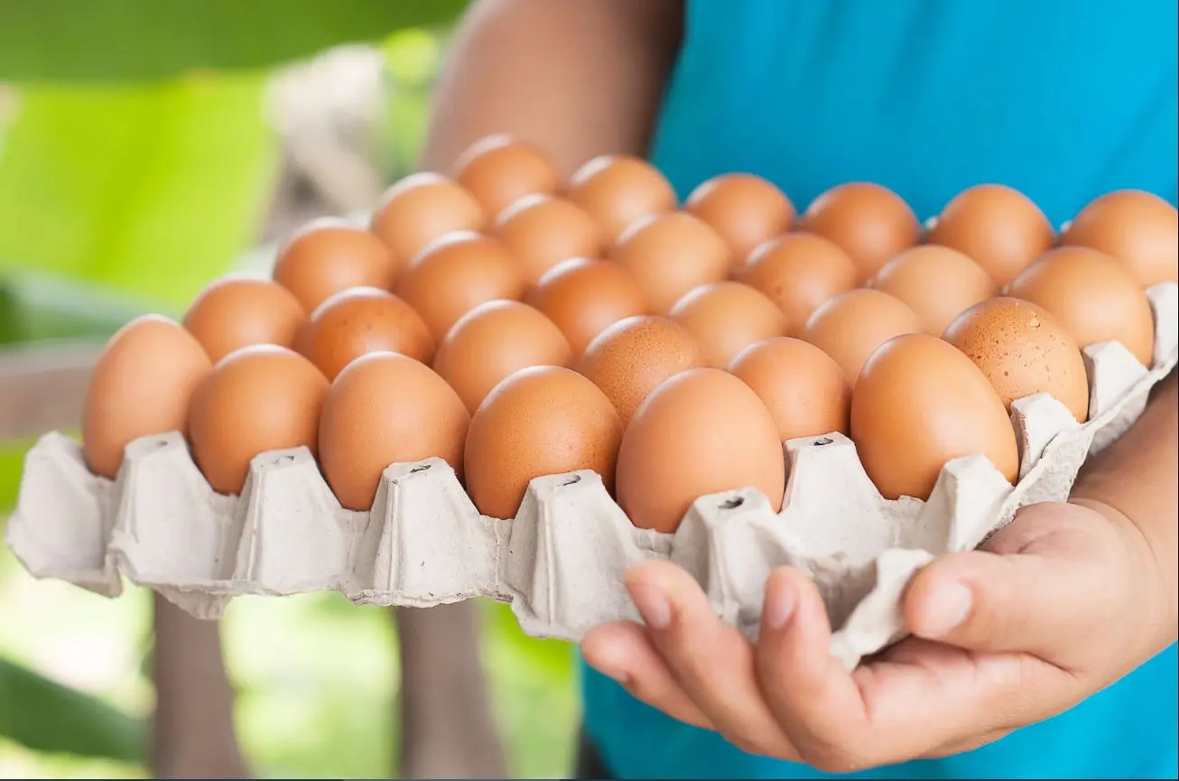 ما سعر كرتونة البيض اليوم 22/2/2025 للمستهلك؟