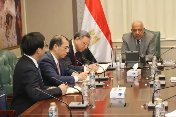 مباحثات-مصرية-صينية-لتعزيز-مرونة-الشبكة-الكهربائية-ودمج-الطاقات-المتجددة