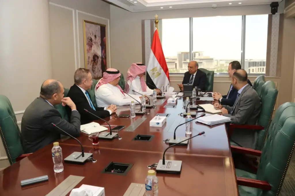 وزير الكهرباء يبحث مع 