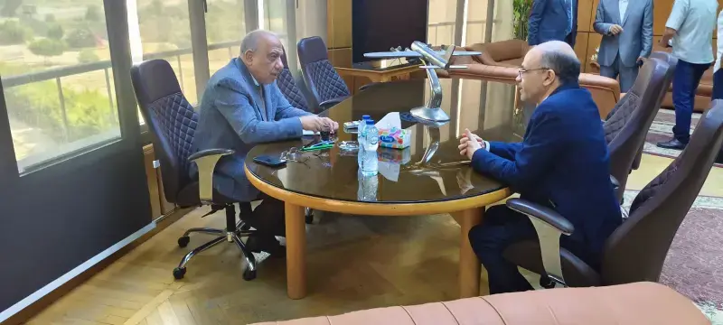 وزير الكهرباء يتابع مشروعات استخلاص العناصر الأرضية النادرة ويؤكد دعم تعظيم العوائد من الثروات التعدينية