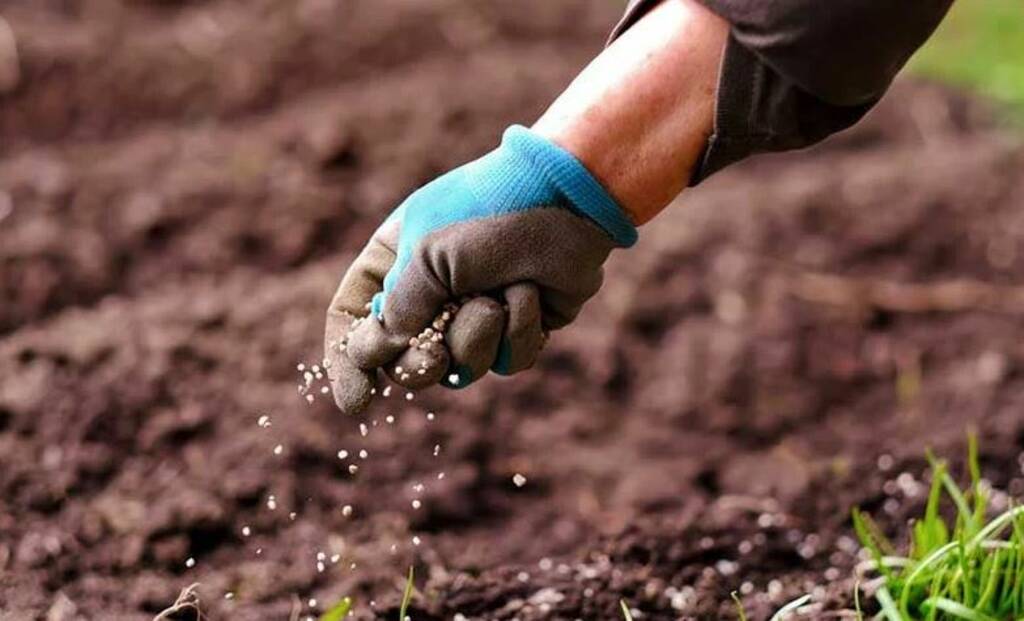 بلومبرج:-حرب-إيران-تعمق-أزمة-الأسمدة-وتهدد-الفوسفات-عالمياً